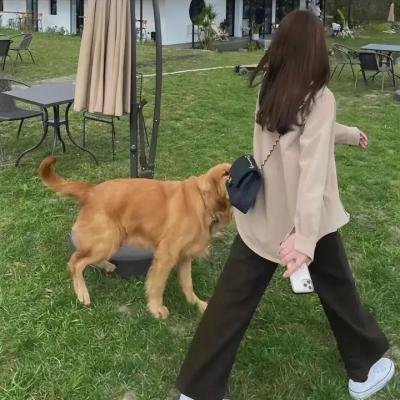 诺曼